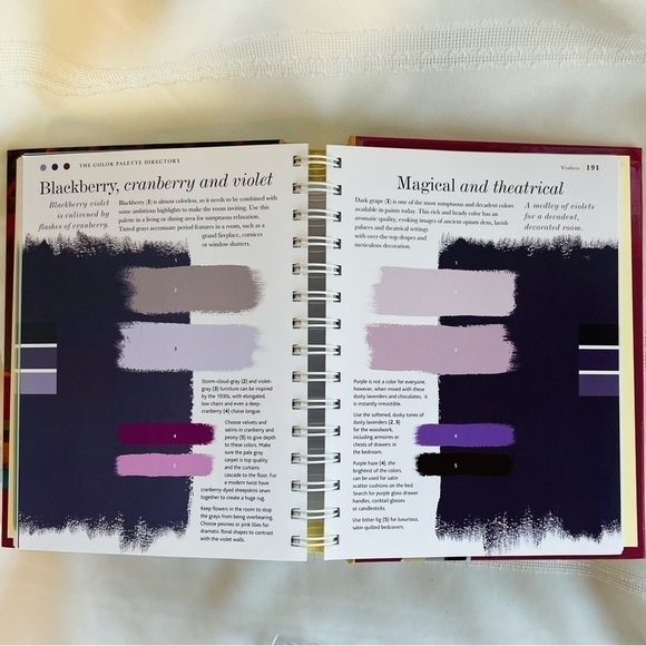 The Color Scheme Bible Color Palettes for Designing Home Interiors LIKE NEW - Picture 6 of 11